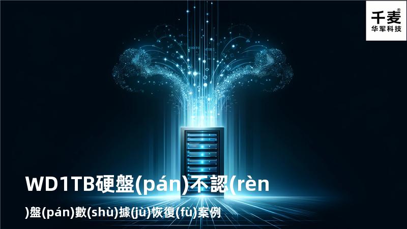 WD1TB硬盤(pán)不認(rèn)盤(pán)數(shù)據(jù)恢復(fù)案例