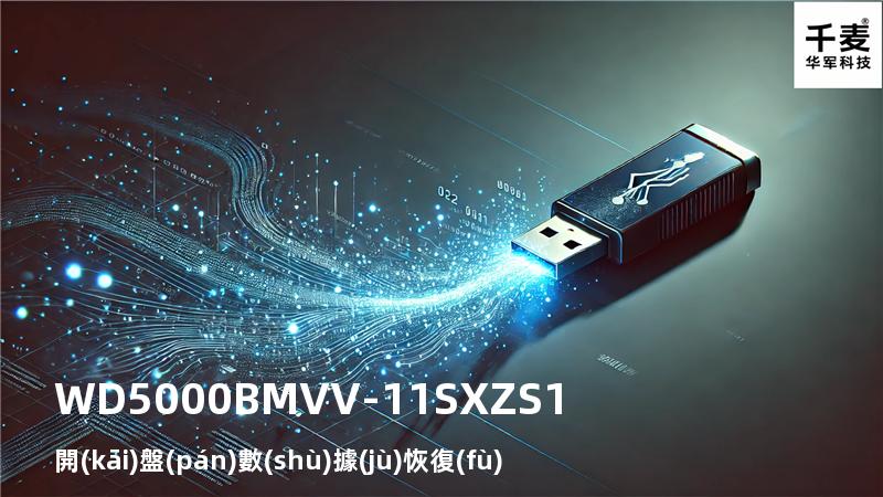 WD5000BMVV-11SXZS1 開(kāi)盤(pán)數(shù)據(jù)恢復(fù)