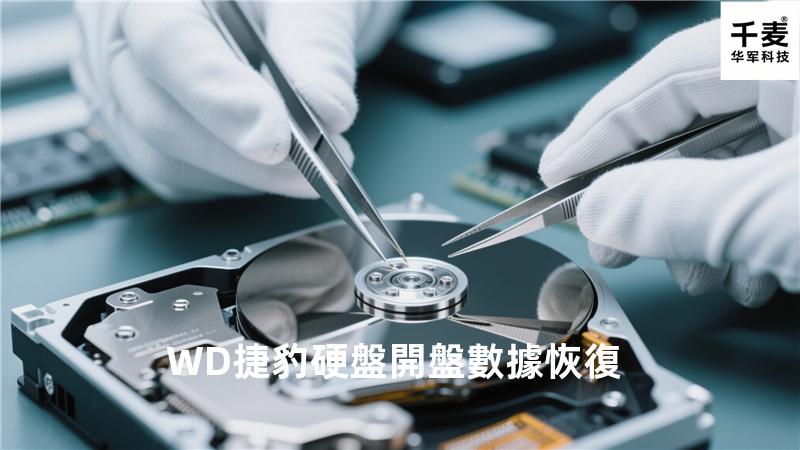 WD捷豹硬盤開盤數據恢復