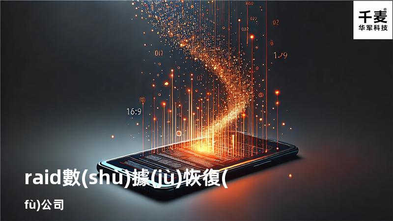 raid數(shù)據(jù)恢復(fù) 公司