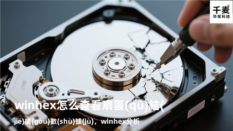 winhex怎么查看扇區(qū)結(jié)構(gòu)數(shù)據(jù)，winhex分析磁盤(pán)