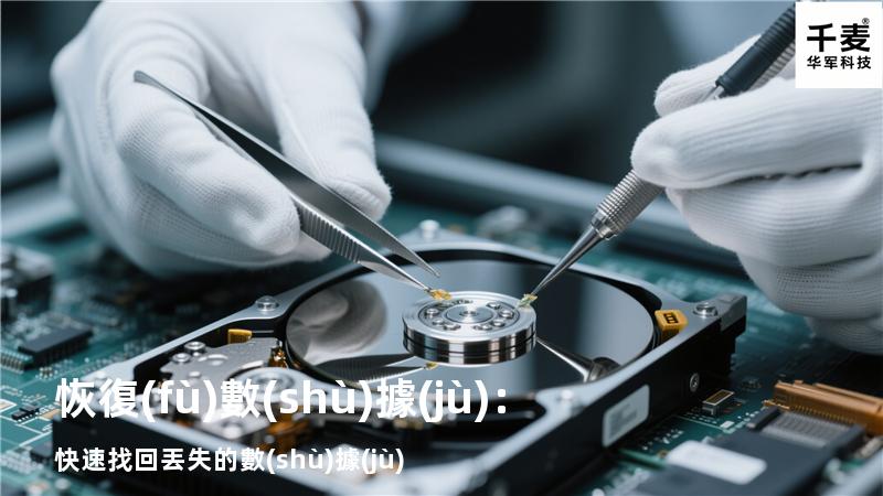 恢復(fù)數(shù)據(jù)：快速找回丟失的數(shù)據(jù)