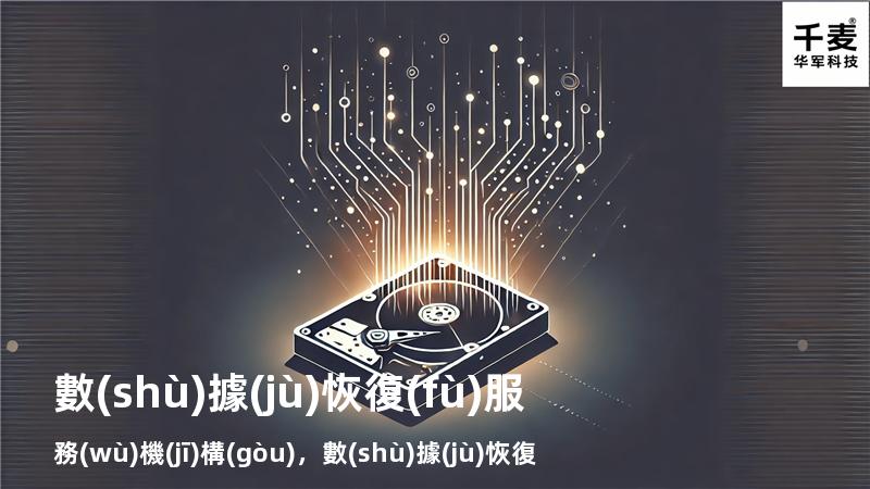 數(shù)據(jù)恢復(fù)服務(wù)機(jī)構(gòu)，數(shù)據(jù)恢復(fù)服務(wù)機(jī)構(gòu)有哪些