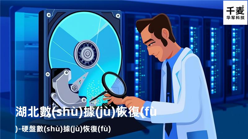 湖北數(shù)據(jù)恢復(fù)-硬盤數(shù)據(jù)恢復(fù)