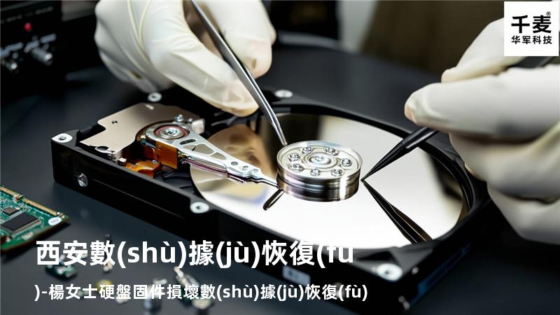 西安數(shù)據(jù)恢復(fù)-楊女士硬盤固件損壞數(shù)據(jù)恢復(fù)