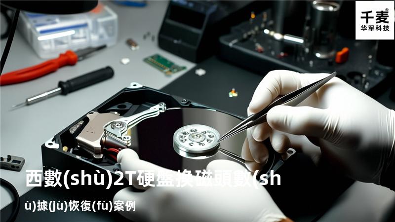 西數(shù)2T硬盤換磁頭數(shù)據(jù)恢復(fù)案例