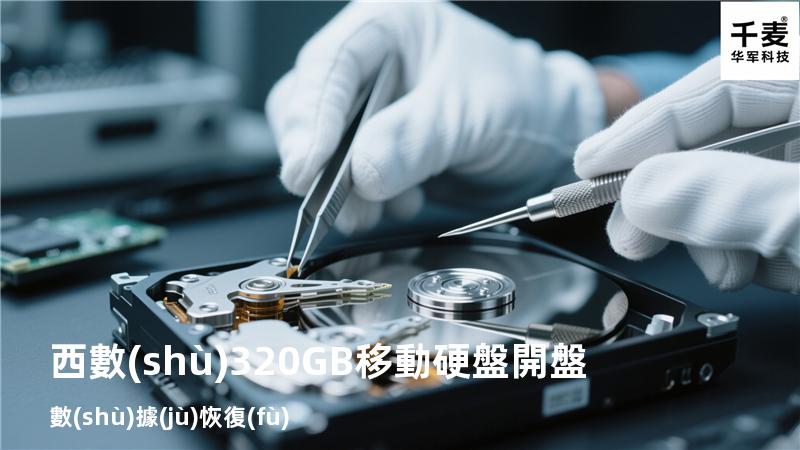 西數(shù)320GB移動硬盤開盤數(shù)據(jù)恢復(fù)