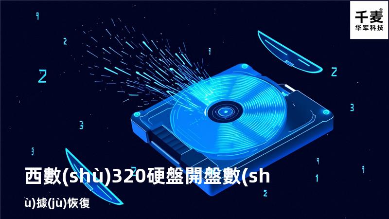 西數(shù)320硬盤開盤數(shù)據(jù)恢復