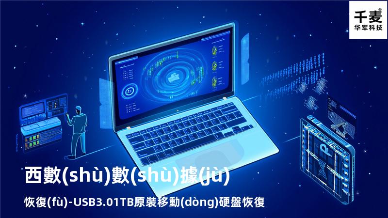 西數(shù)數(shù)據(jù)恢復(fù)-USB3.0 1TB原裝移動(dòng)硬盤恢復(fù)