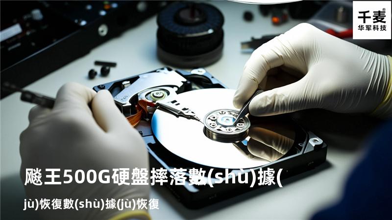 飚王500G硬盤摔落數(shù)據(jù)恢復數(shù)據(jù)恢復