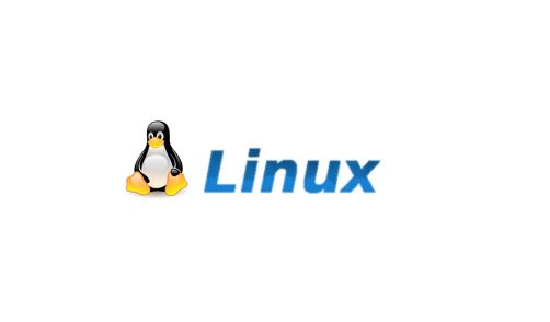 Linux修復(fù),Linux自動檢查