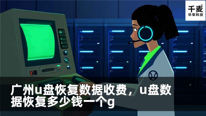 廣州u盤恢復(fù)數(shù)據(jù)收費(fèi)，u盤數(shù)據(jù)恢復(fù)多少錢一個(gè)g