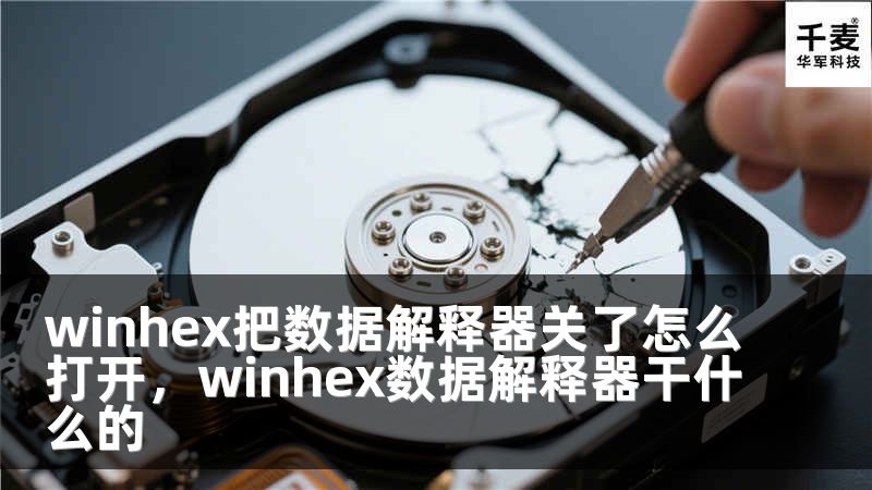 winhex把數(shù)據(jù)解釋器關(guān)了怎么打開，winhex數(shù)據(jù)解釋器干什么的