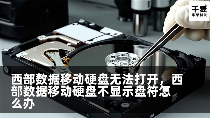 西部數(shù)據(jù)移動硬盤無法打開，西部數(shù)據(jù)移動硬盤不顯示盤符怎么辦