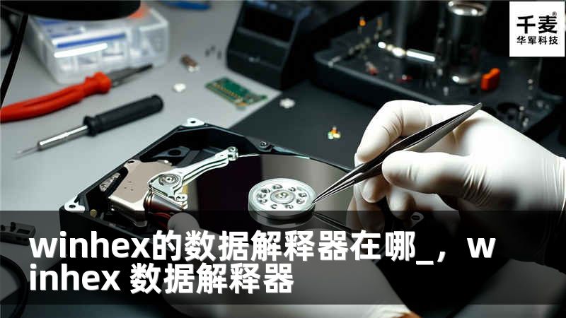 winhex的數(shù)據(jù)解釋器在哪_，winhex 數(shù)據(jù)解釋器