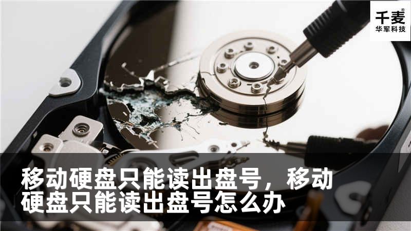 移動硬盤只能讀出盤號，移動硬盤只能讀出盤號怎么辦