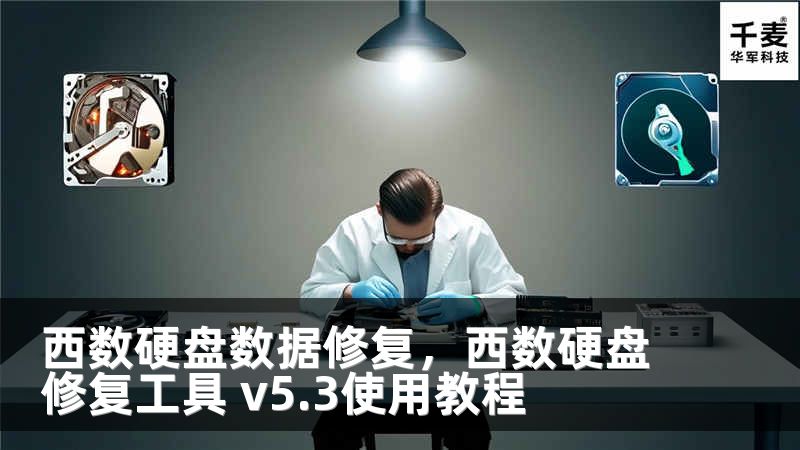 西數(shù)硬盤數(shù)據(jù)修復(fù)，西數(shù)硬盤修復(fù)工具 v5.3使用教程