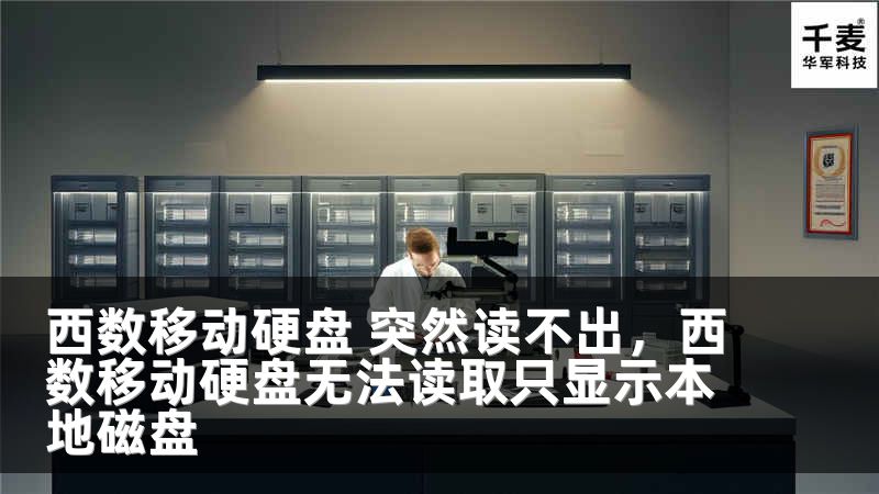 西數(shù)移動(dòng)硬盤 突然讀不出，西數(shù)移動(dòng)硬盤無(wú)法讀取只顯示本地磁盤