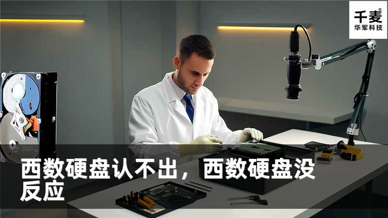 西數(shù)硬盤認(rèn)不出，西數(shù)硬盤沒反應(yīng)