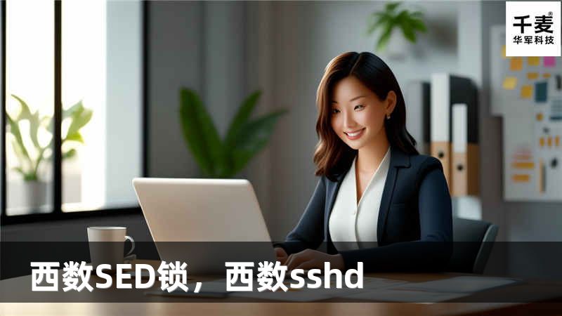 西數(shù)SED鎖，西數(shù)sshd