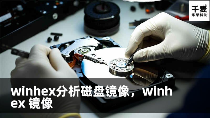winhex分析磁盤鏡像，winhex 鏡像