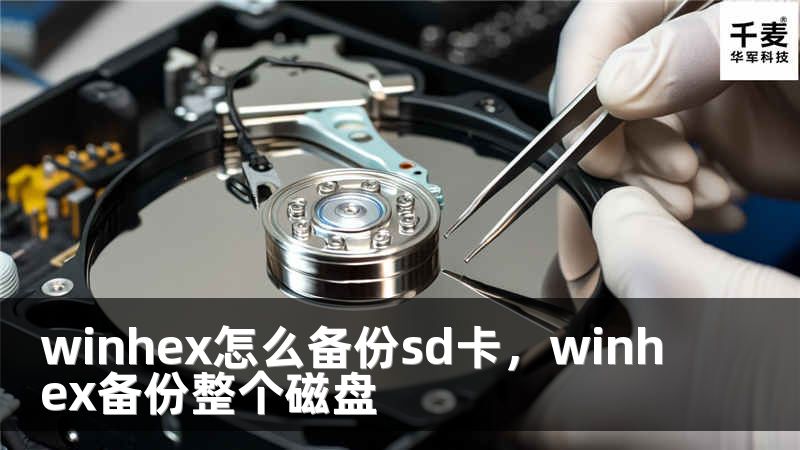 winhex怎么備份sd卡，winhex備份整個(gè)磁盤(pán)
