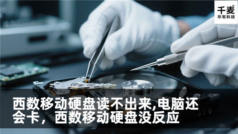 西數(shù)移動硬盤讀不出來,電腦還會卡，西數(shù)移動硬盤沒反應(yīng)