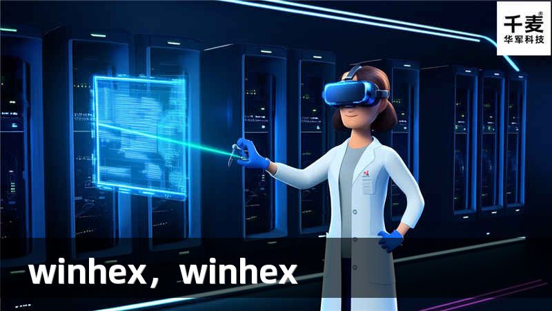winhex，winhex