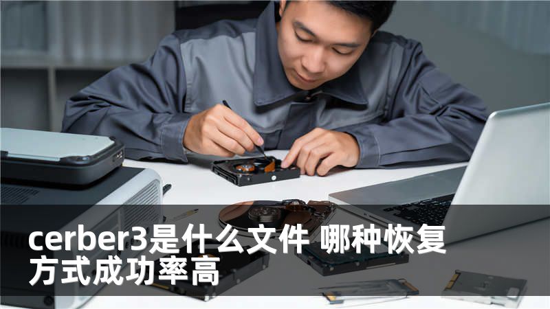 cerber3是什么文件 哪種恢復方式成功率高