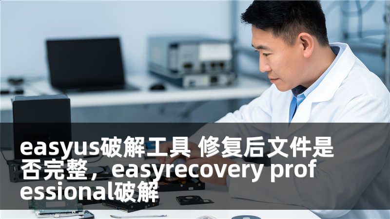 easyus破解工具 修復(fù)后文件是否完整，easyrecovery professional破解