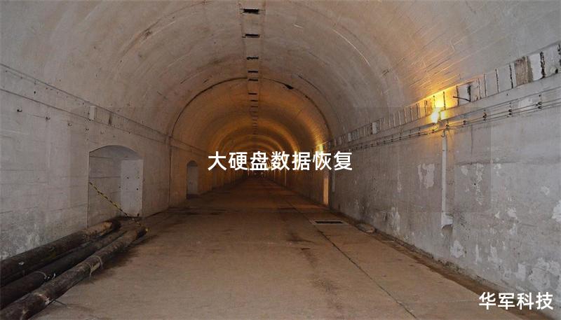 大硬盤(pán)數(shù)據(jù)恢復(fù)