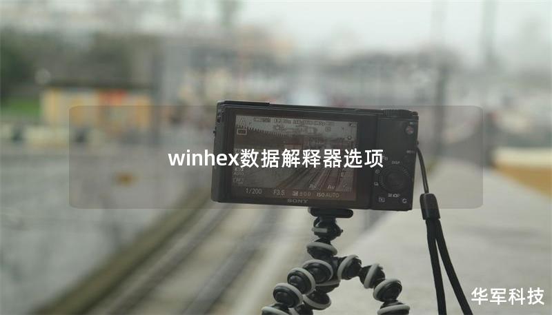 winhex數(shù)據(jù)解釋器選項(xiàng)