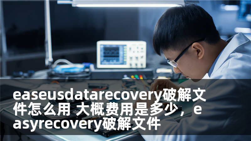 easeusdatarecovery破解文件怎么用 大概費(fèi)用是多少，easyrecovery破解文件