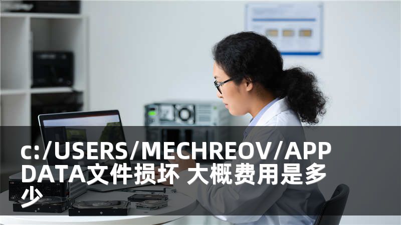c:/USERS/MECHREOV/APPDATA文件損壞 大概費(fèi)用是多少