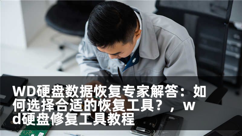 WD硬盤數(shù)據(jù)恢復(fù)專家解答：如何選擇合適的恢復(fù)工具？，wd硬盤修復(fù)工具教程