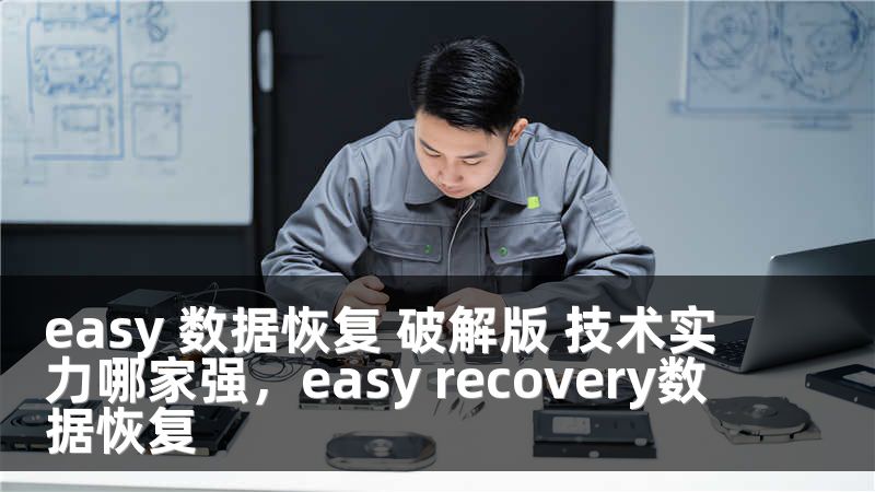 easy 數(shù)據(jù)恢復(fù) 破解版 技術(shù)實(shí)力哪家強(qiáng)，easy recovery數(shù)據(jù)恢復(fù)