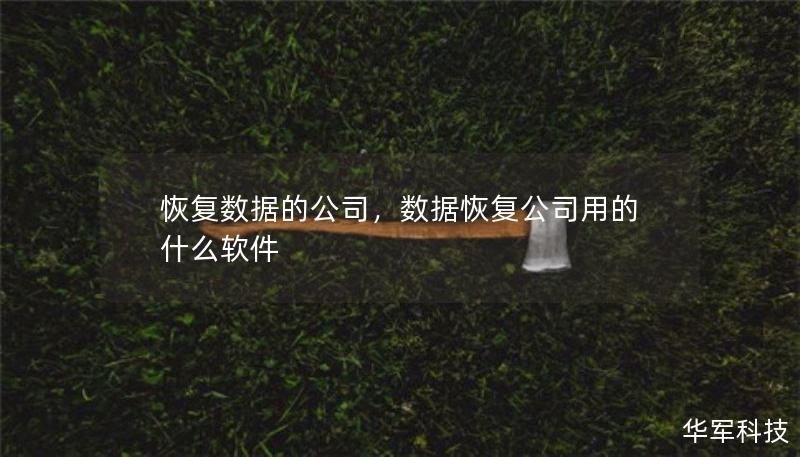 恢復(fù)數(shù)據(jù)的公司，數(shù)據(jù)恢復(fù)公司用的什么軟件