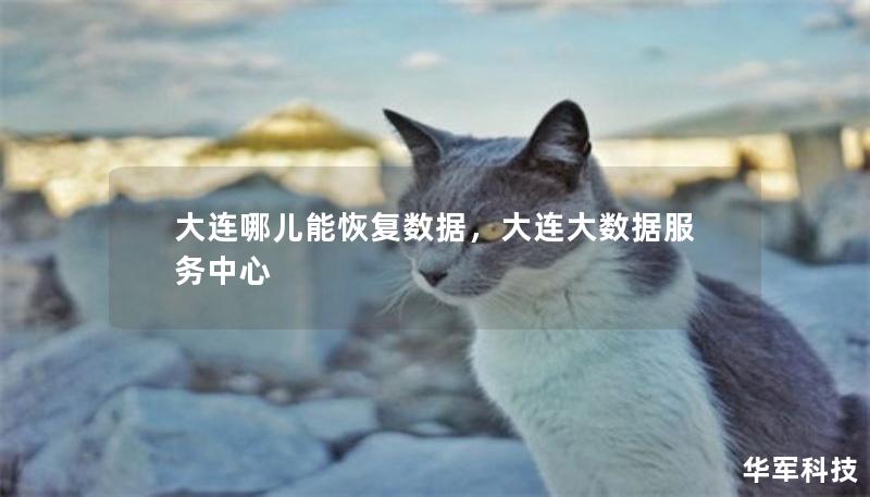 大連哪兒能恢復(fù)數(shù)據(jù)，大連大數(shù)據(jù)服務(wù)中心