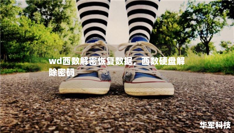 wd西數(shù)解密恢復(fù)數(shù)據(jù)，西數(shù)硬盤解除密碼