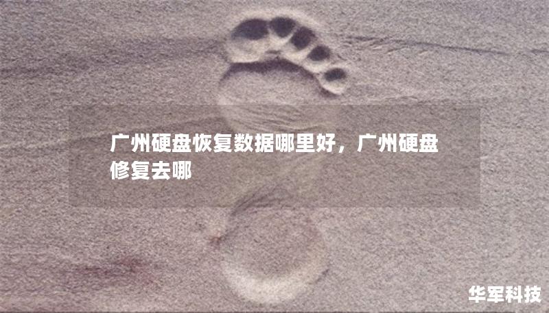 廣州硬盤(pán)恢復(fù)數(shù)據(jù)哪里好，廣州硬盤(pán)修復(fù)去哪