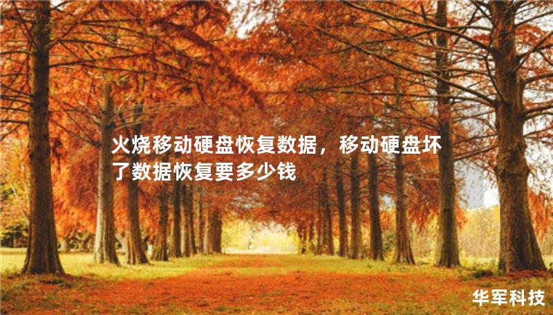 火燒移動(dòng)硬盤(pán)恢復(fù)數(shù)據(jù)，移動(dòng)硬盤(pán)壞了數(shù)據(jù)恢復(fù)要多少錢(qián)