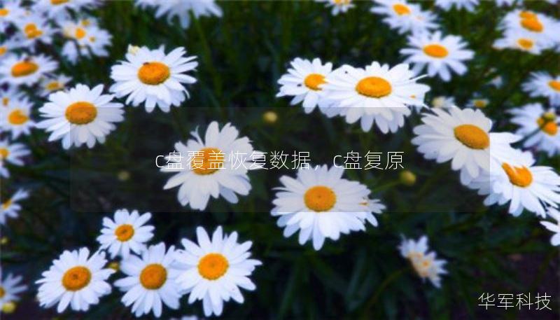 c盤覆蓋恢復(fù)數(shù)據(jù)，c盤復(fù)原