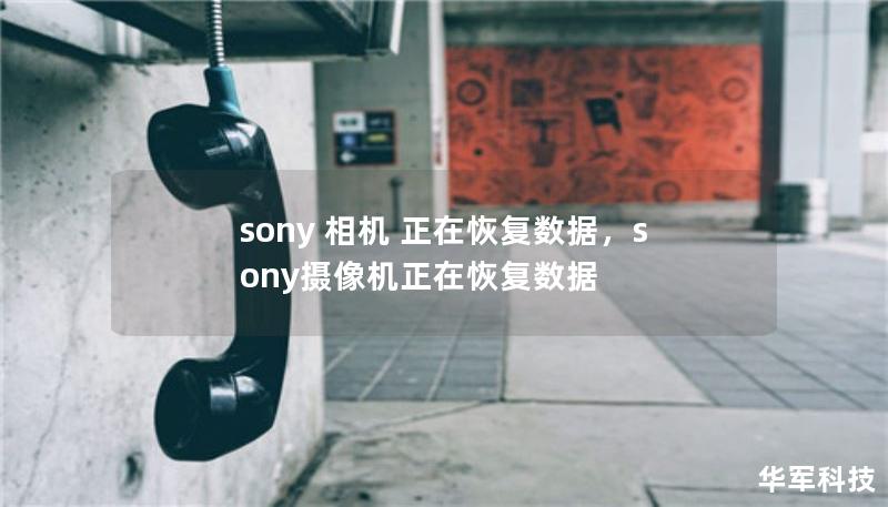 sony 相機 正在恢復(fù)數(shù)據(jù)，sony攝像機正在恢復(fù)數(shù)據(jù)