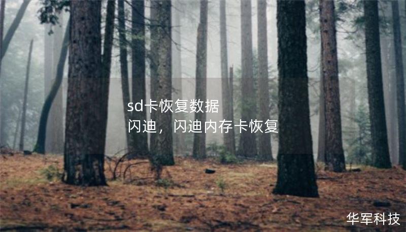 sd卡恢復(fù)數(shù)據(jù) 閃迪，閃迪內(nèi)存卡恢復(fù)