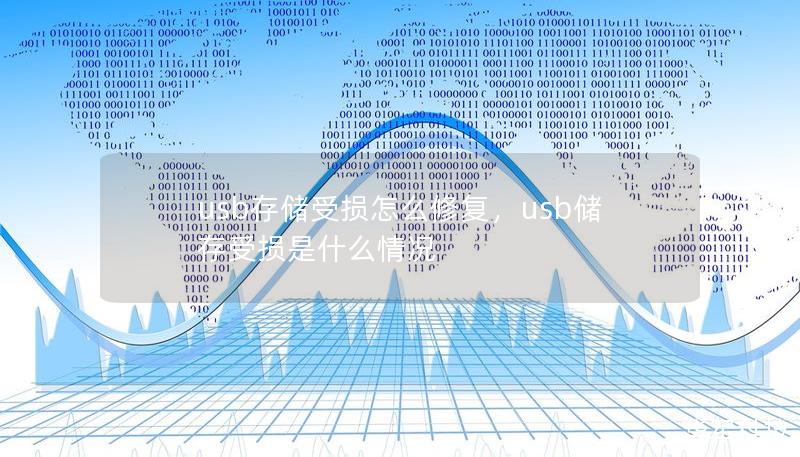 usb存儲受損怎么修復(fù)，usb儲存受損是什么情況