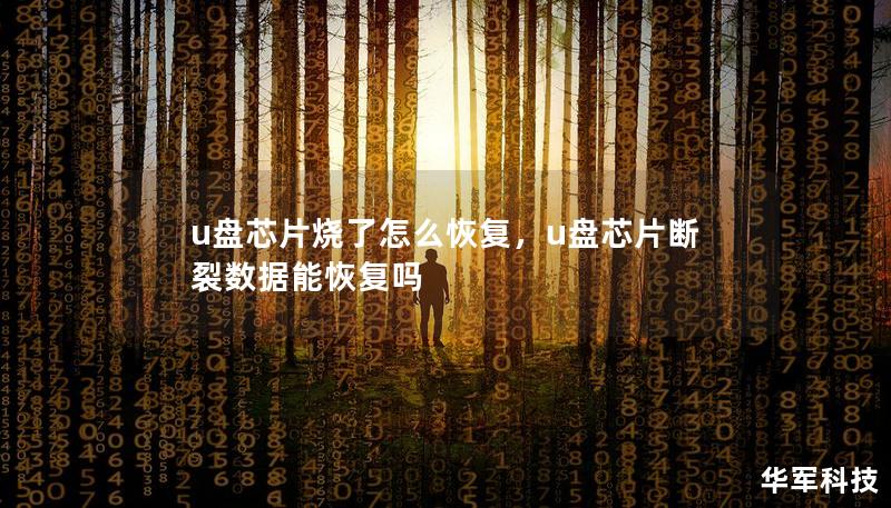 u盤(pán)芯片燒了怎么恢復(fù)，u盤(pán)芯片斷裂數(shù)據(jù)能恢復(fù)嗎
