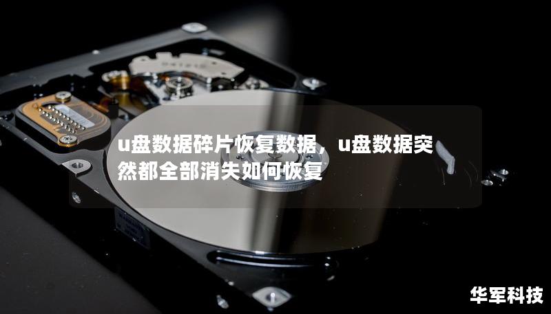 u盤數(shù)據(jù)碎片恢復(fù)數(shù)據(jù)，u盤數(shù)據(jù)突然都全部消失如何恢復(fù)