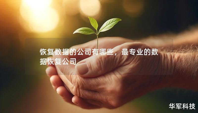 恢復數(shù)據(jù)的公司有哪些，最專業(yè)的數(shù)據(jù)恢復公司