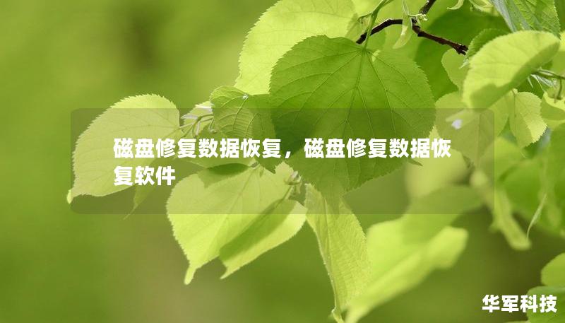 磁盤修復(fù)數(shù)據(jù)恢復(fù)，磁盤修復(fù)數(shù)據(jù)恢復(fù)軟件