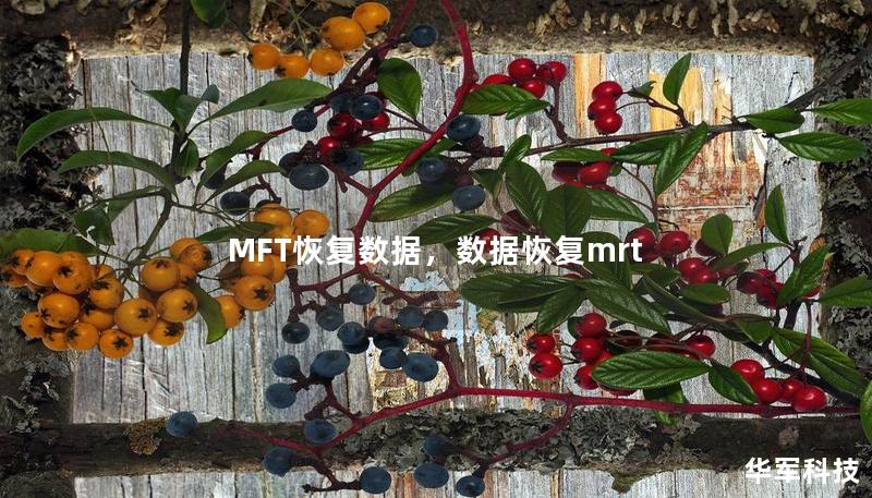 MFT恢復(fù)數(shù)據(jù)，數(shù)據(jù)恢復(fù)mrt